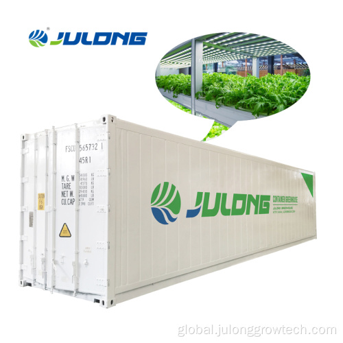 China vertical farming hydroponics system container greenhouse Manufactory